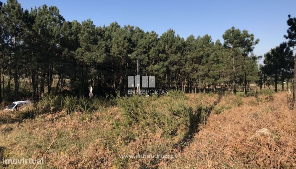 Venda de Terreno, Carreço, Viana do Castelo. — Carreço, Viana do Castelo