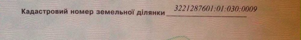 Рудня  земля 65 соток .