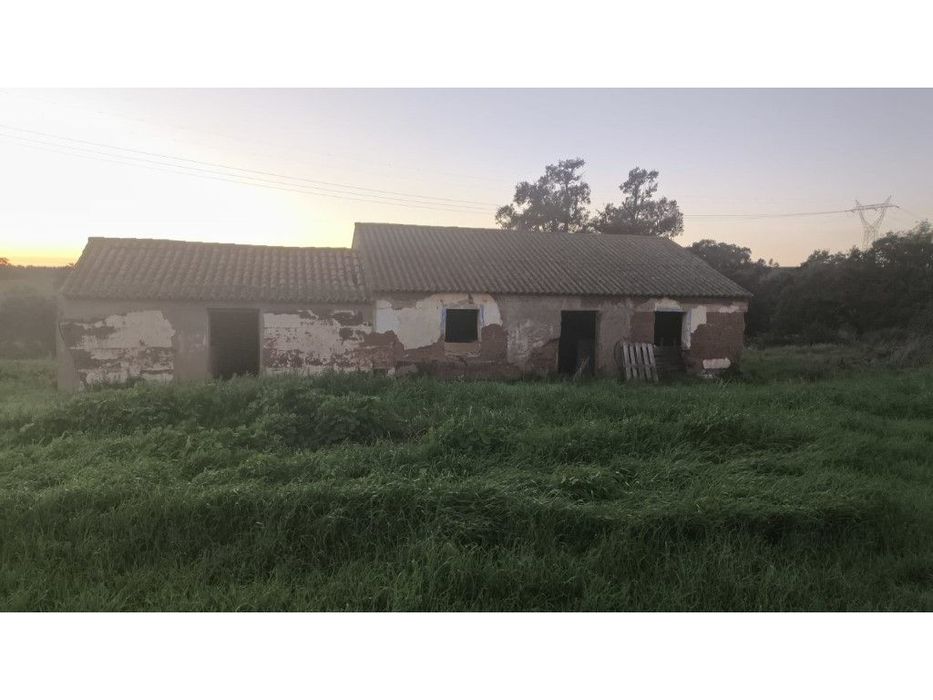 QUINTA (54.409m2) — Cercal, Setúbal