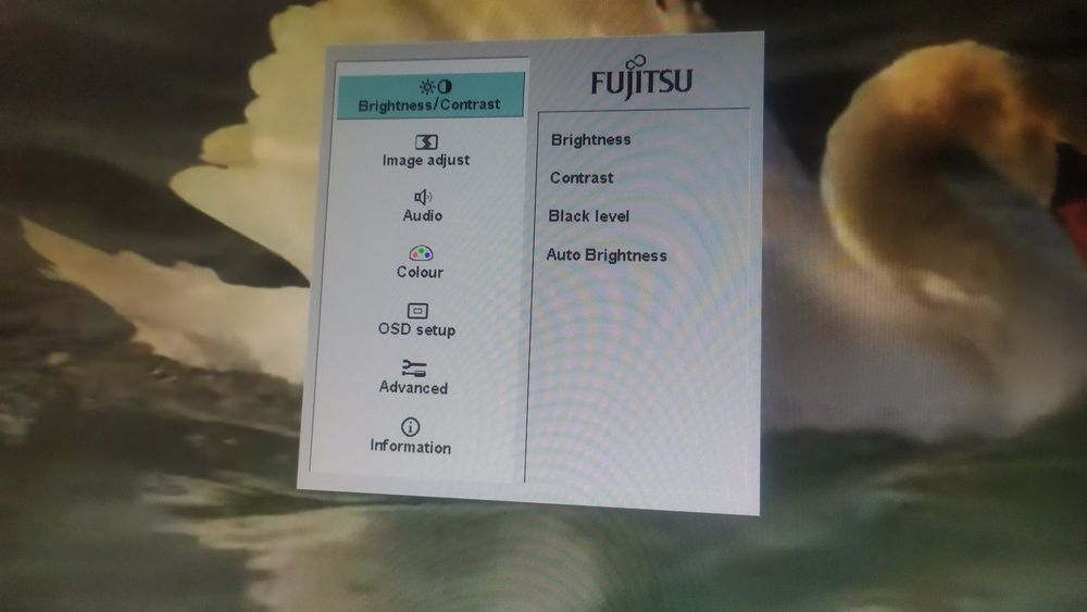 Монітор 19 дюймів.