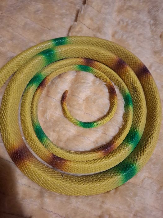 Cobra de borracha dura