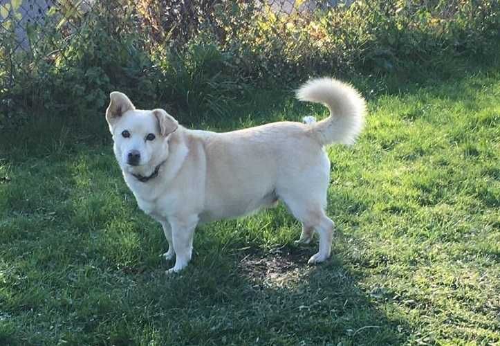 Billy szuka kochającego domku!