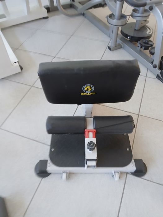 Sisi squat Graft