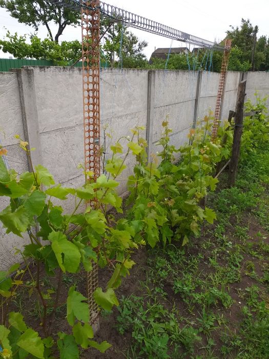 Стойки,опора,столбик длинна 2500 мм,тэ образные,универсальные, мет 2мм