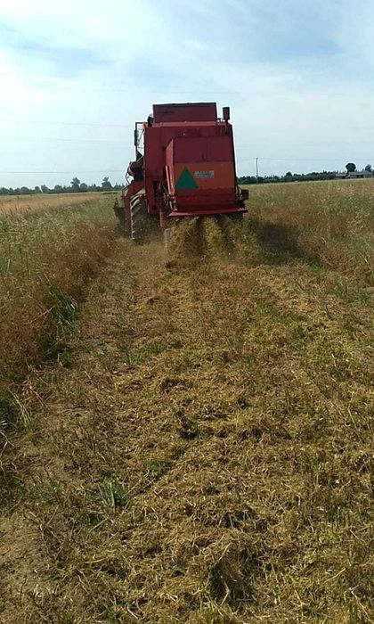 Sprzedam Bizon Rekord  ZO 58