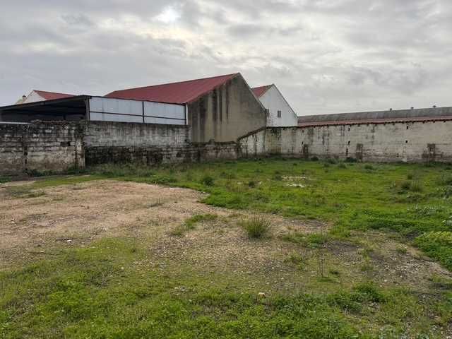 Terreno à venda em Ermidas-Sado (Não respondo a agências imobiliárias)