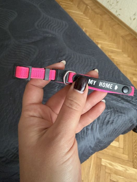 Ошейник Trixi с адресником