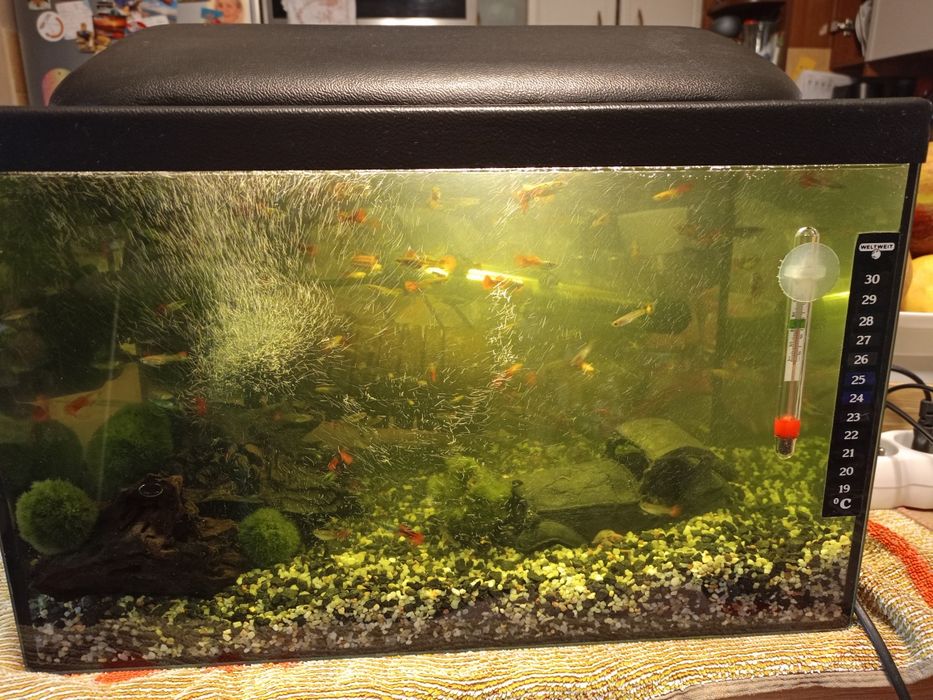 Akwarium profilowane  120 l plus drugie 60 litrów
