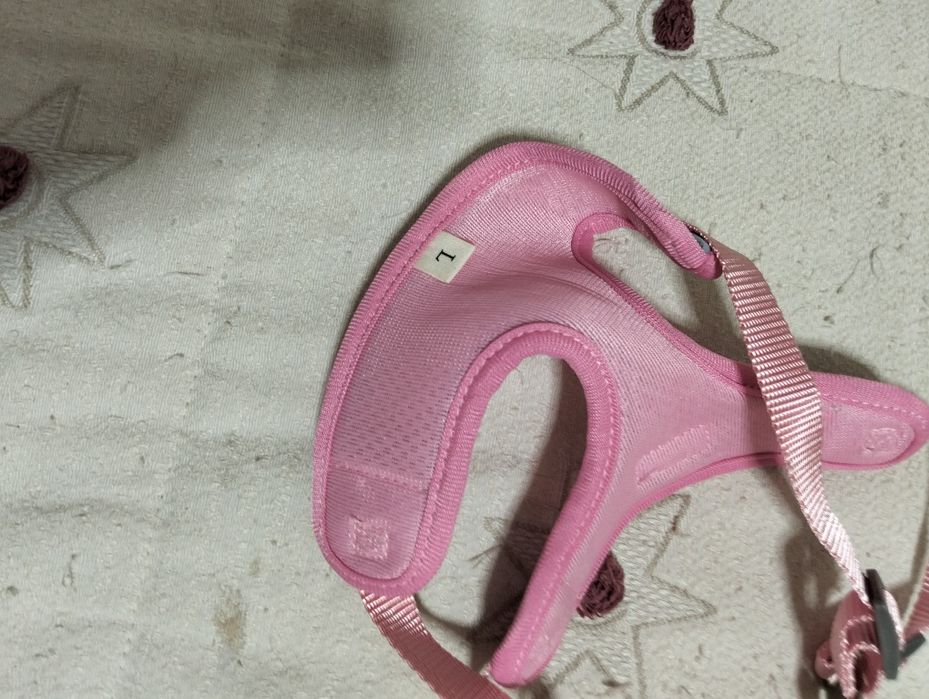 Coleira para cadelinha