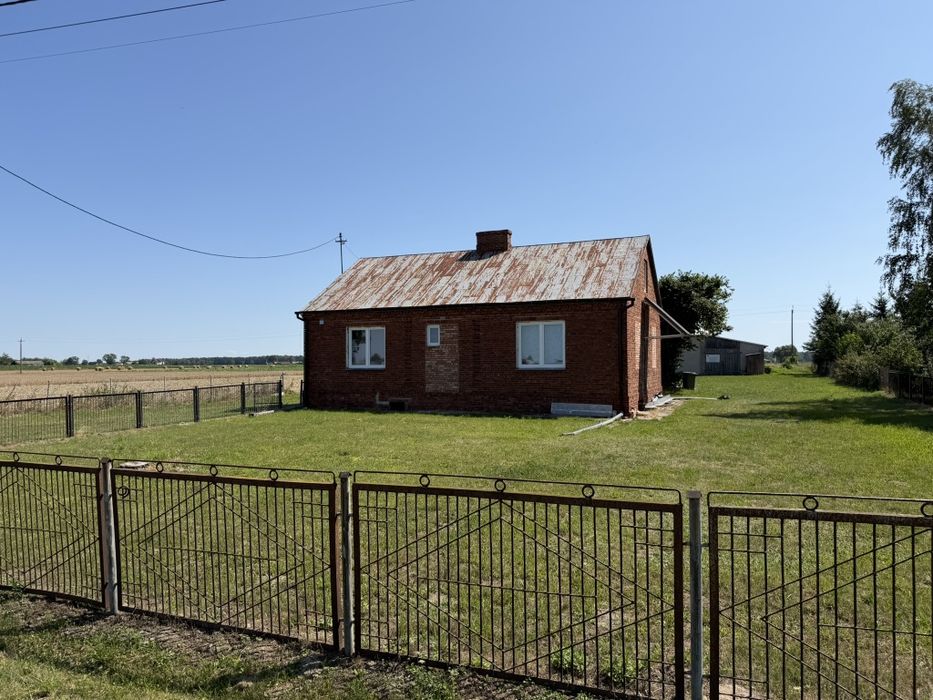 Zdjęcie 8