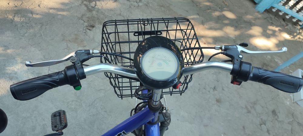 Електровелосипед триколісний SKYBIKE 3-CYCL 350W 36V Скайбайк трицикл