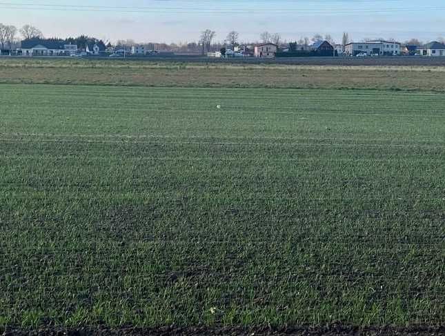 Działka budowlana z warunkami zabudowy Unisław ul. Toruńska - Widok 2