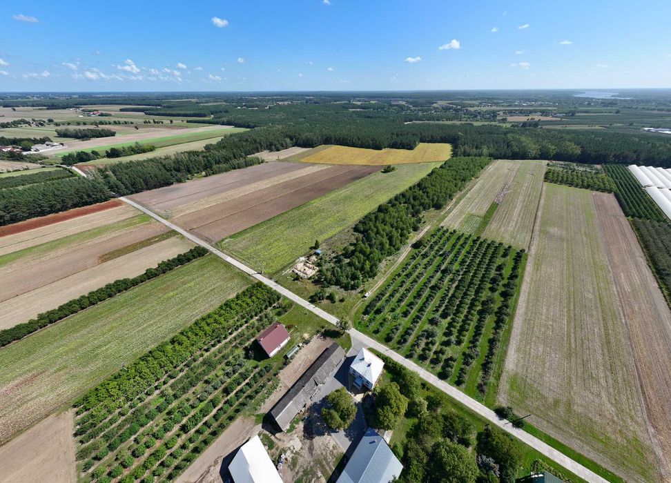 Działka z WZ Zapiecki gmina Pomiechówek powiat Nowodworski 1505 mkw - Widok 5