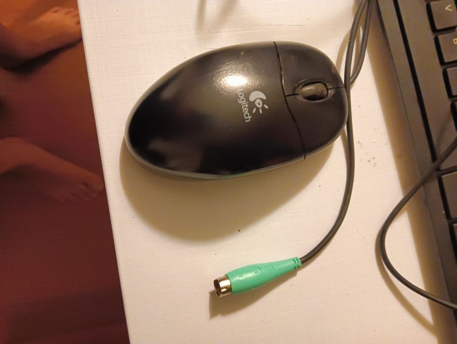 3 ratos com cabo64740663157507121