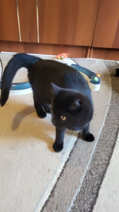 Девочка.4 - 4.5 месяца