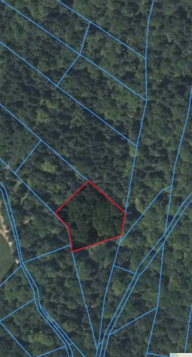 Działka leśna 25,7a – Łodygowice, pow. żywiecki - Widok 4