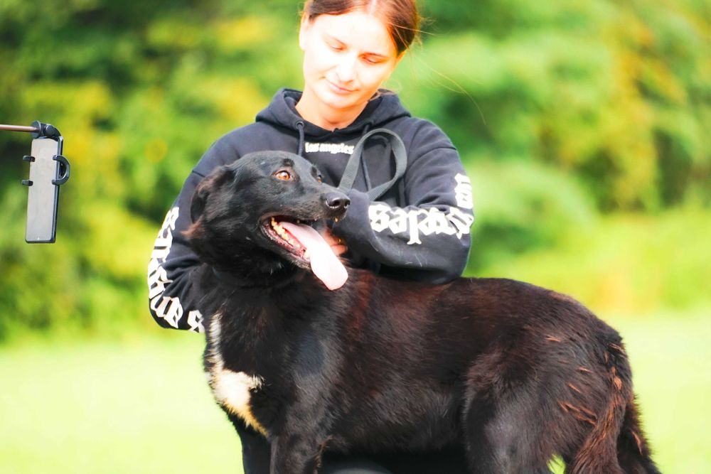 Verano super miły psiak czeka na dom