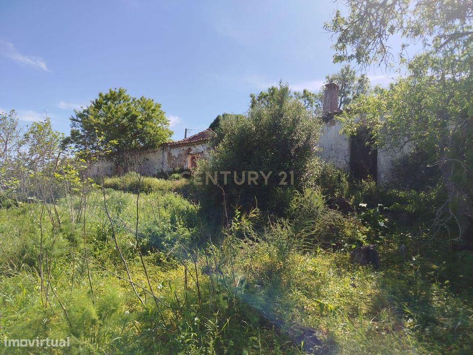 Terreno Misto Para Venda com 81.790m² na Falcoeira – Luz, Lagos