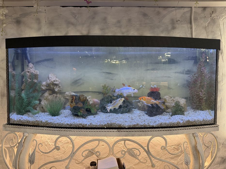 В продажі 2 шт акваріума