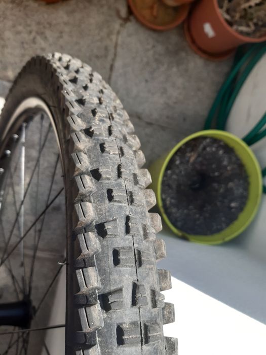 WTB Trail Boss 29 2.4 TCS Light Fast