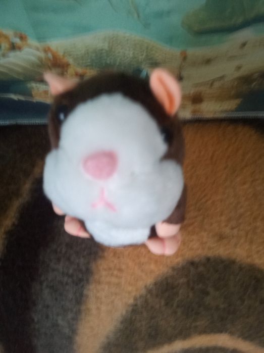 Tylko 33 zł Chomik gaduła rusza się i powtarza wszystko co się do nieg