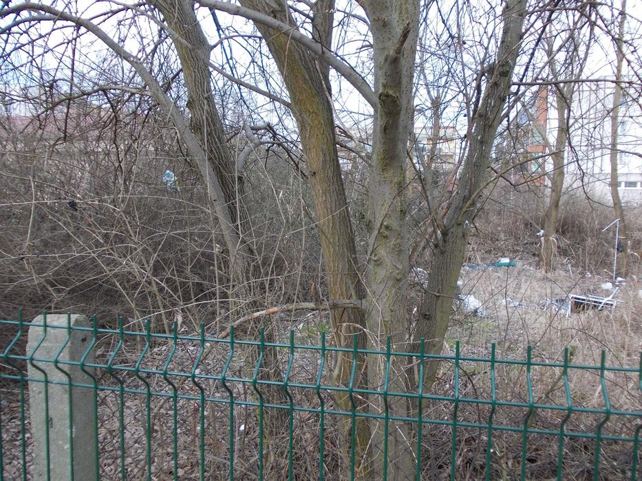 Działka - Tychy Centrum