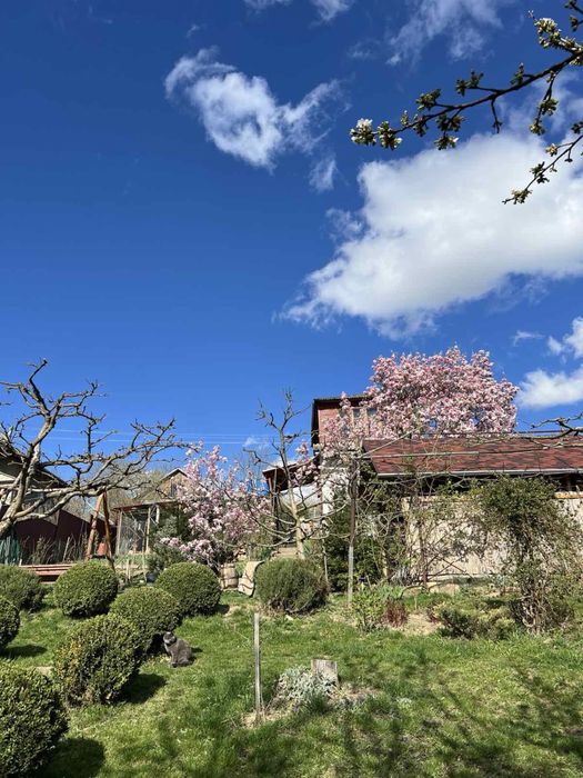 Дом по адресу ул. Добробутна (площадь 75 м²) - Atlanta.ua - фото 2