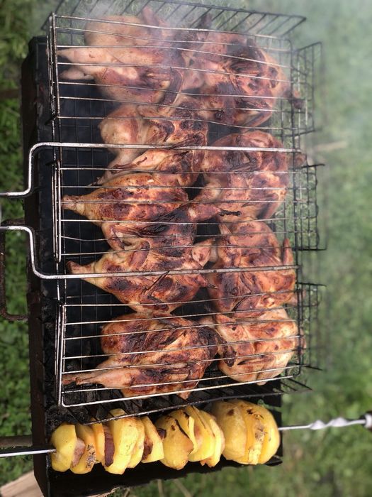 Перепілки. Перепелині яйця.