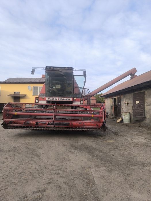 Kombajn zbożowy Massey Ferguson 31xp