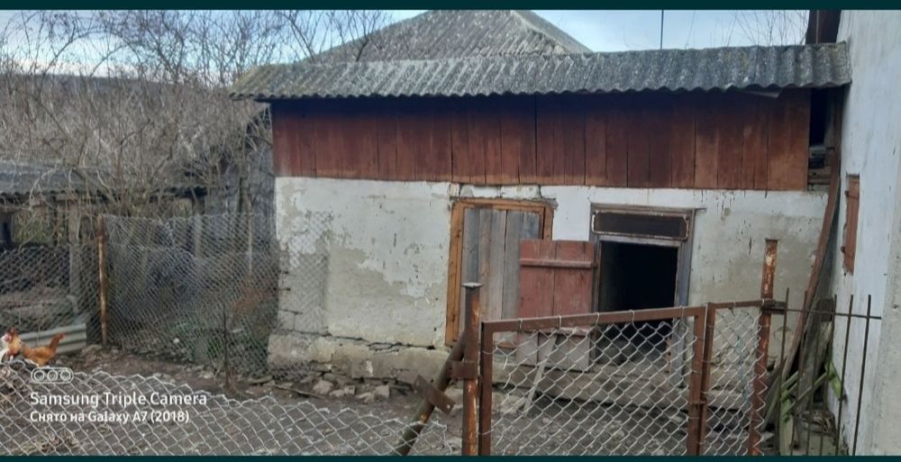Дім,господарство Заставнівському р-ні,с.Брідок