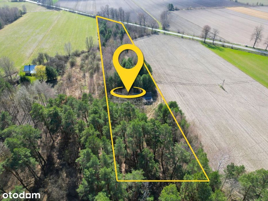 Działka z możliwościa zabudowy w Tucznej + las