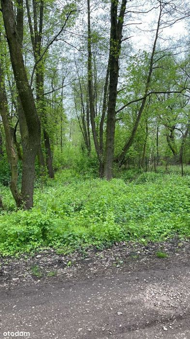 Działka inwestycyjna Cieciszew, Konstancin-Jeziorna, Warszawa 30 min - Widok 2