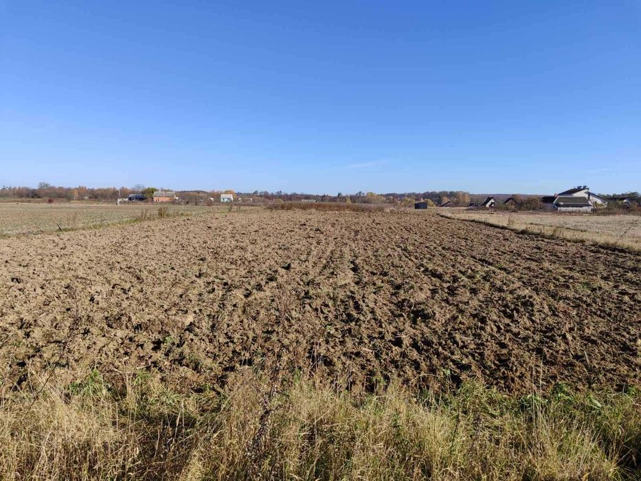 (8) Продам земельну ділянку в Яришівці 2875