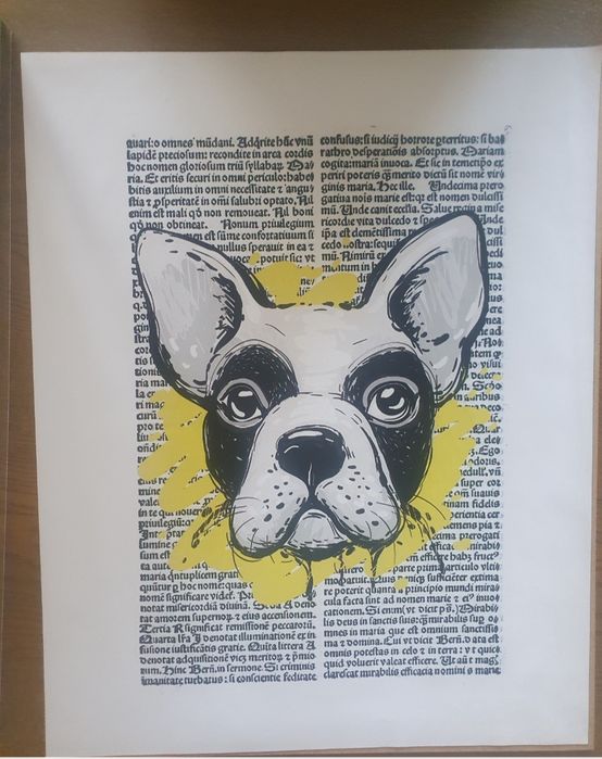 Plakat obraz buldog francuski 40x50