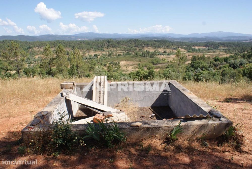 Excelente terreno agrícola para venda em Cabeço do Infante, Sarzedas — Sarzedas, Castelo Branco