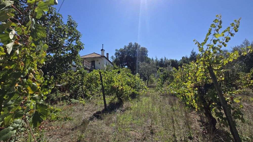 Moradia T4 à venda em Tondela e Nandufe, Tondela — foto 6