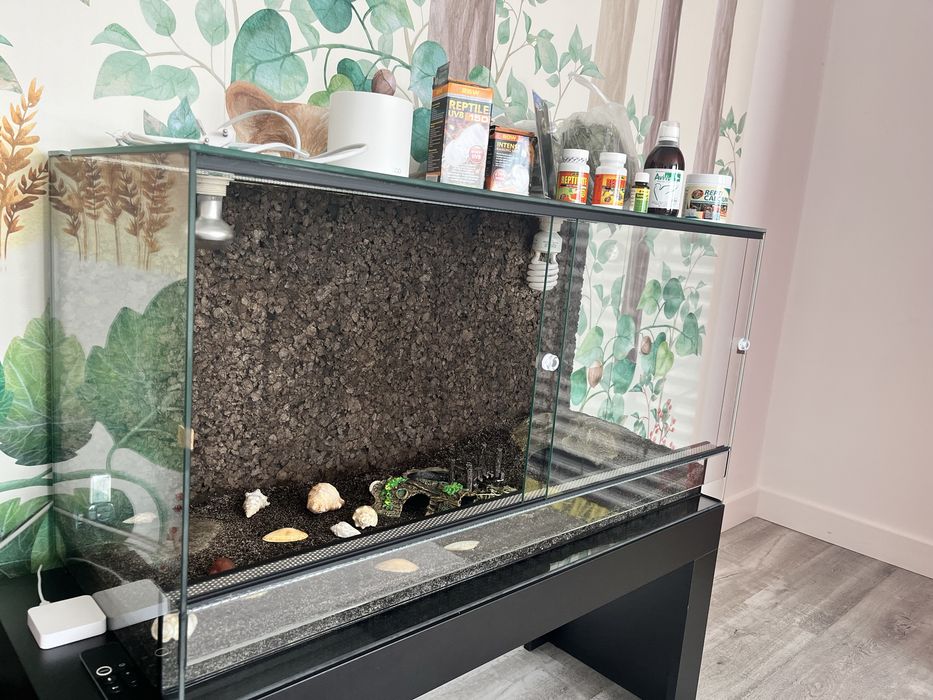 Terrarium - cały komplet