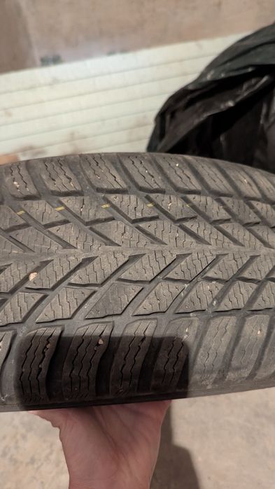 Шина Nokian Tyres Snowproof 2 195/65 R15