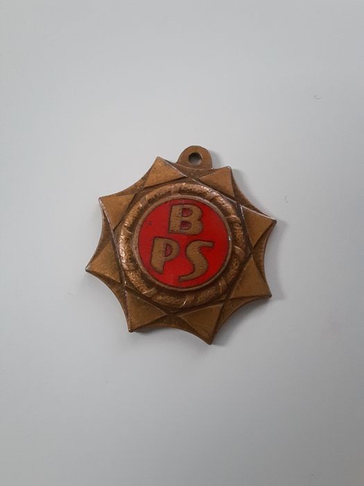 Odznaki BPS srebrna, brązowa