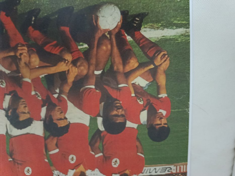 Poster BENFICA 1970-71 (reprodução perfeita)
