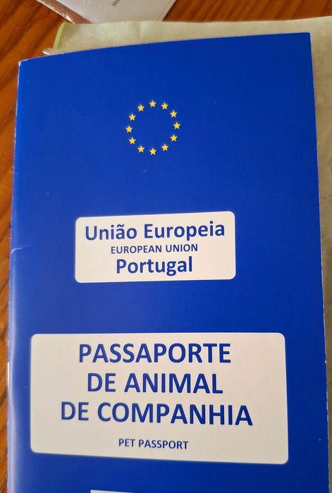 Spitz Alemão Anão Beje (Lulu da Pomerânia)