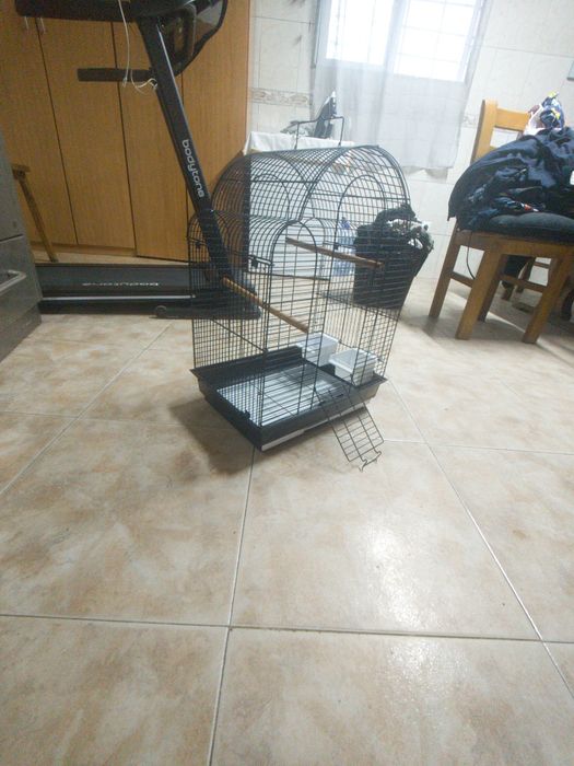 Gaiola para pássaros