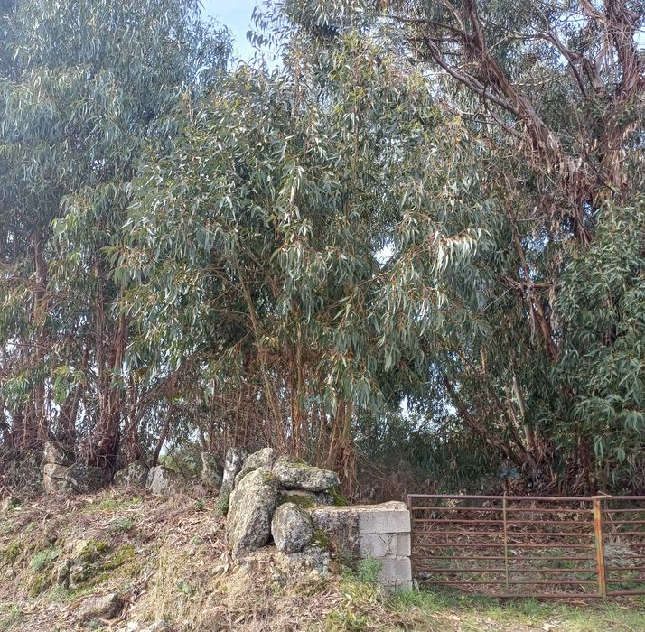 Terreno com palheiro e poço!