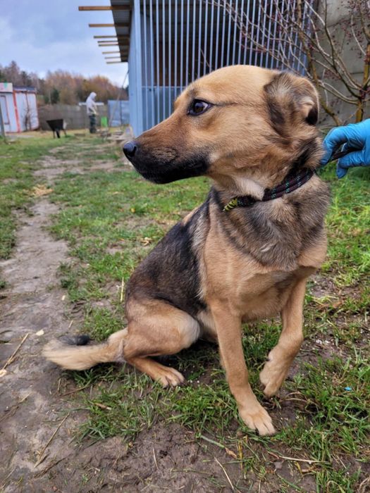 Cudowna, delikatna ARISA i jej rozpacz