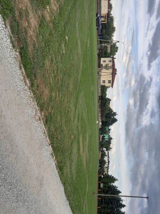 Zdjęcie 5