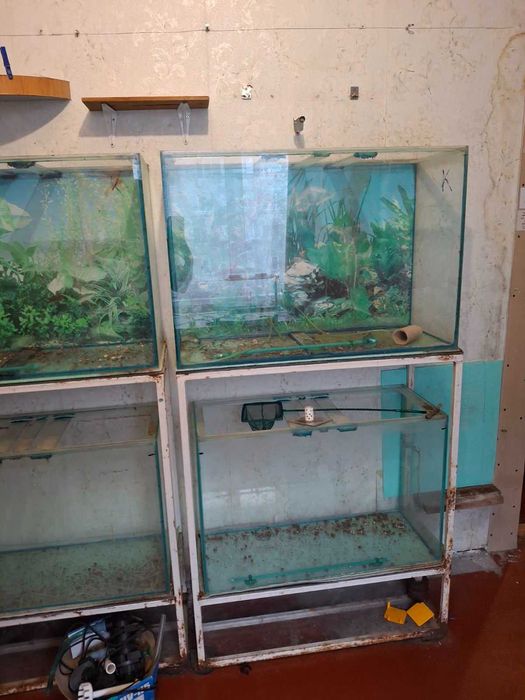 Акваріуми безкоштовно