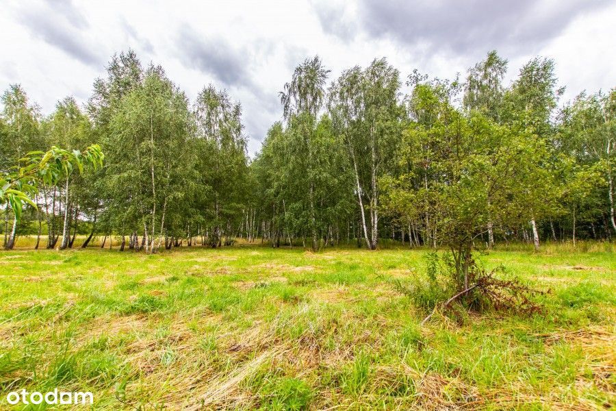 Działka budowlana nad jeziorem - Widok 4