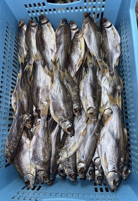 Вялена риба | риба холодного копчення | сушена риба