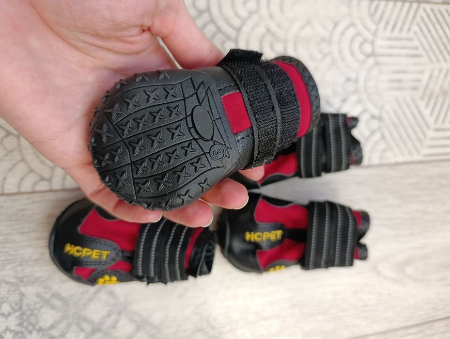 Взуття для собак