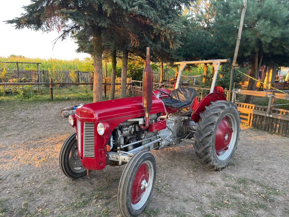 Ciągnik rolniczy Massey Ferguson TE-D, 1954 r.